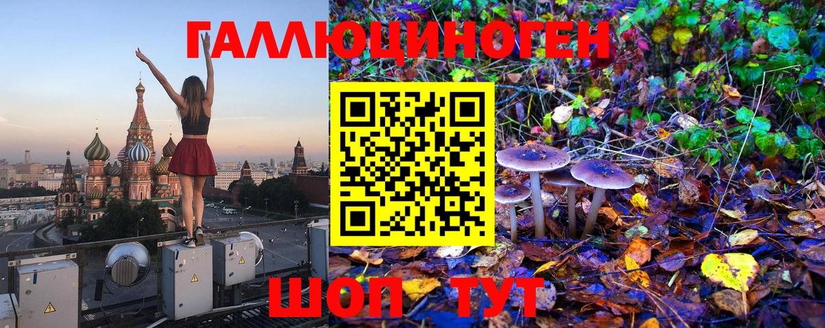 Галлюциногенные грибы Magic Shrooms Сосновый Бор